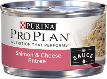 Purina Pro Plan Salmon & Cheese Entrée In Sauce